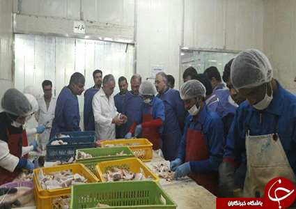بازدید معاون امور تعاون وزارت تعاون، کار و رفاه اجتماعی از واحد تولیدی آرمان جنوب چابهار
