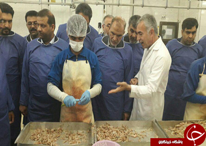 بازدید معاون امور تعاون وزارت تعاون، کار و رفاه اجتماعی از واحد تولیدی آرمان جنوب چابهار

