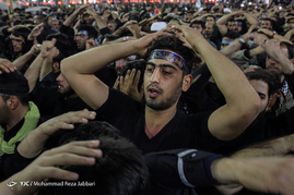 کربلا میعادگاه عاشقان‎
