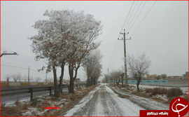 بولوار حر شهر مشهد / ساعت شش صبح دمای ۱۰درجه زیر صفر