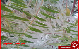 خوانسار- اصفهان