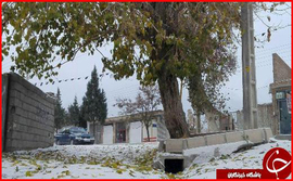 سمنان