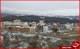 گلستان