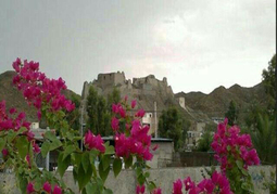 صدای پای بهار در جنوب سیستان و بلوچستان+ تصاویر