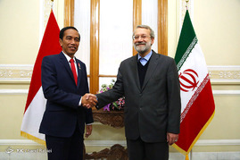 دیدار علی لاریجانی با رئیس جمهور اندونزی
