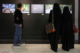 نمایشگاه گروهی عکس 