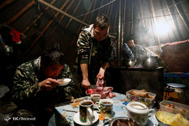 پرورش گوزن در شمال روسیه
