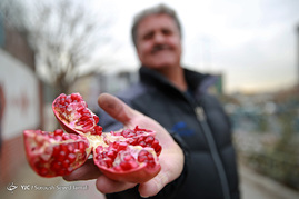 حال و هوای شب یلدا در تهران
