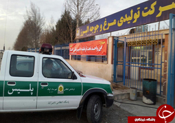 تایید اولین مورد بیماری آنفلوانزای فوق حاد پرندگان 