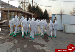 تایید اولین مورد بیماری آنفلوانزای فوق حاد پرندگان 