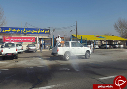 تایید اولین مورد بیماری آنفلوانزای فوق حاد پرندگان 