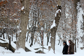 بارش برف در تبریز‎
