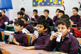 آغاز طرح توزیع شیر مدارس