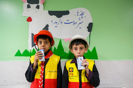 آغاز طرح توزیع شیر مدارس