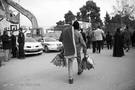 خاکستری‌های حوالی پلاسکو
