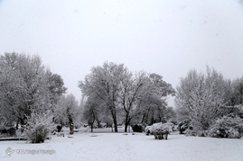 بارش برف در همدان
