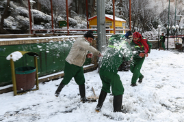 بارش برف در تهران