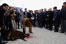سفر وزیر وزرش به همدان
