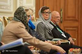 دیدار نخست وزیر سوئد با علی لاریجانی