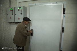 ماهی دودی