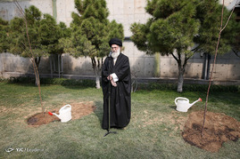 کاشت دو اصله نهال میوه در هفته منابع طبیعی توسط رهبر معظم انقلاب