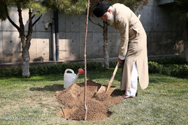 کاشت دو اصله نهال میوه در هفته منابع طبیعی توسط رهبر معظم انقلاب