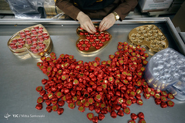 کارخانه شکلات