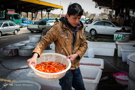 میدان مرکزی میوه و تربار تهران