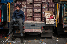 میدان مرکزی میوه و تربار تهران
