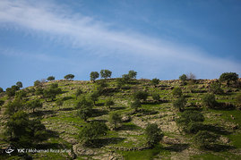 طبیعت زیبای دشت سوسن (سدشهیدعباس پور) - استان خوزستان‎