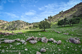 طبیعت زیبای دشت سوسن (سدشهیدعباس پور) - استان خوزستان‎