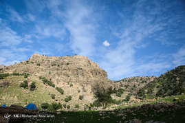 طبیعت زیبای دشت سوسن (سدشهیدعباس پور) - استان خوزستان‎