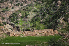 طبیعت زیبای دشت سوسن (سدشهیدعباس پور) - استان خوزستان‎