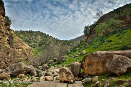 طبیعت زیبای دشت سوسن (سدشهیدعباس پور) - استان خوزستان‎