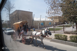 درشکه سواری در میدان آزادی قزوین