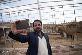 دهکده حیوانات