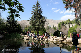 بازدید مسافران نوروزی از باغ ارم _ شیراز