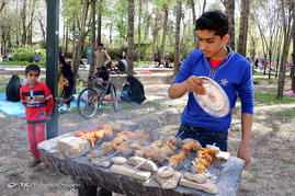 روز طبیعت در شیراز