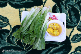 روز طبیعت در شیراز