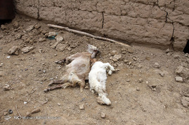 خسارات ناشی از زلزله ۶ ربشتری روستای دو قلعه در شهرستان فریمان