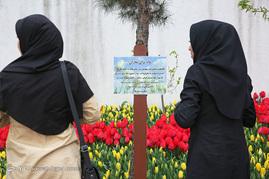 کاشت 120000 لاله هلندی در یکی از خیابان های تهران به یاد مادران