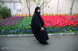 کاشت 120000 لاله هلندی در یکی از خیابان های تهران به یاد مادران