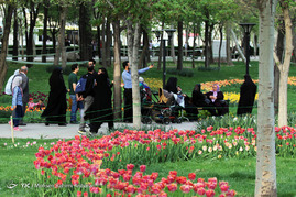 جشنواره گلهای پیازی و بهاری در بوستان بزرگ ملت -مشهد