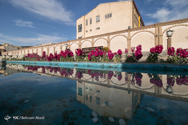 تبریز میزبان لاله ها‎