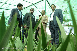 بازدید محسن رضایی از موسسه خیریه حمایت از آسیب دیدگان اجتماعی (سرای احسان)‎