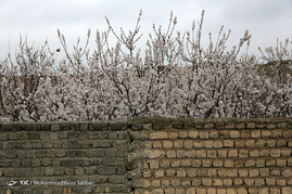 طبیعت بهاری قم‎
