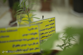 نمایشگاه گل و گیاه رامسر