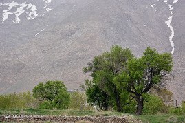 بافت سنتی خوانسار
