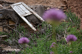 بافت سنتی خوانسار
