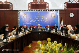 نشست خبری طیب نیا وزیر امور اقتصادی و دارایی
